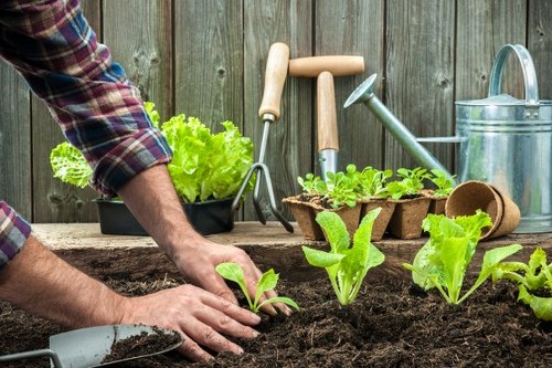 Close-up of gardeners preparing tools and plants